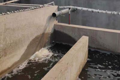 屠宰廢水處理工程實(shí)例（山東煙臺(tái)）