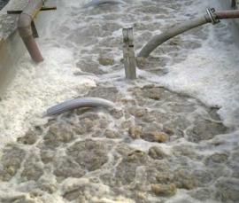 西安下店玉米開發實業有限公司